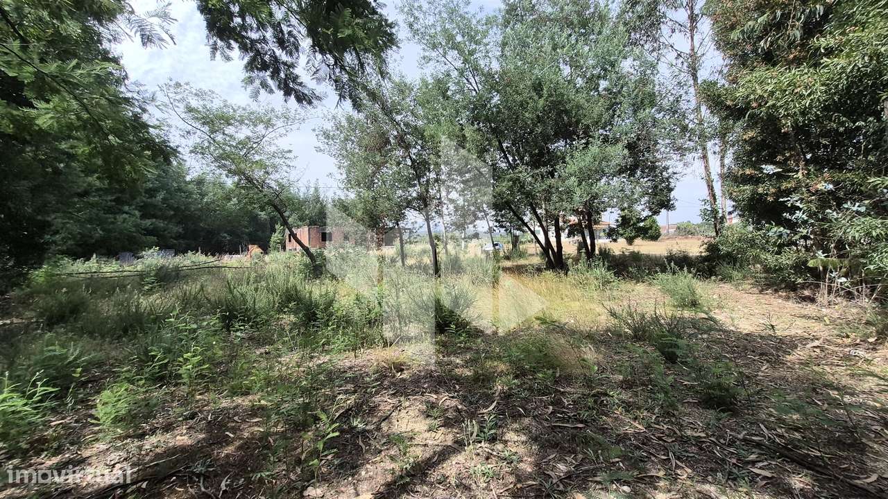 Terreno Para Construção  Venda em Molelos,Tondela-5