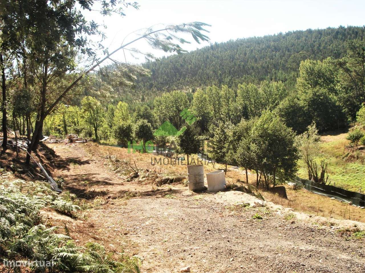 Terreno com 5800 m2 em Pigeiros - Grande imagem: 4/11