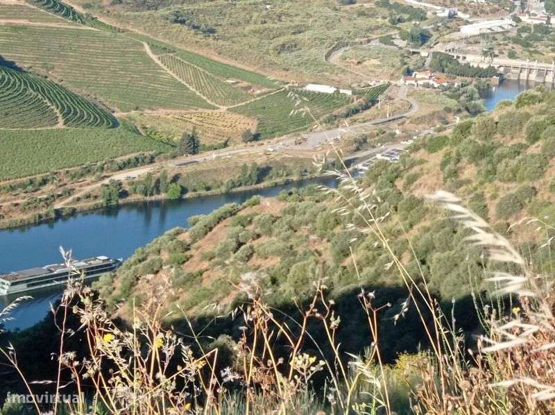 Vendo um terreno rústico em Moncorvo - Grande imagem: 5/8