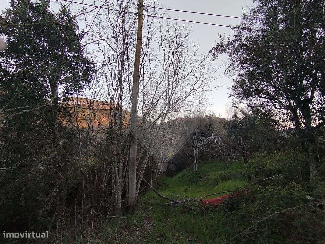 Terreno  para venda - Grande imagem: 2/3