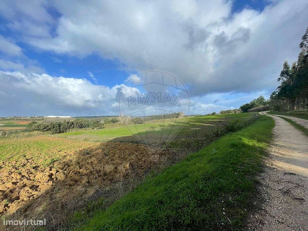 Terreno  para venda - Grande imagem: 4/4