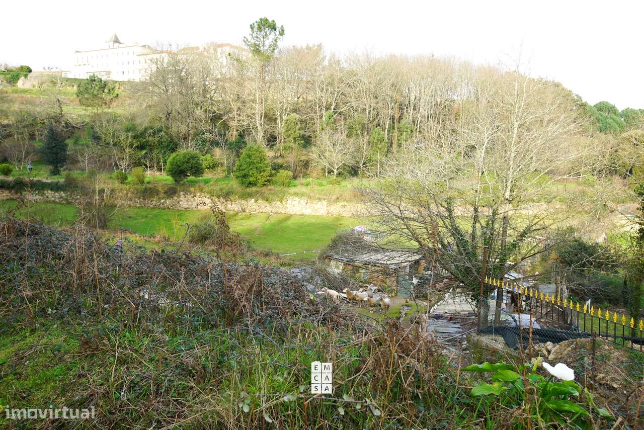 Terreno Rústico  Venda em Vila de Cucujães,Oliveira de Azeméis - Grande imagem: 4/8