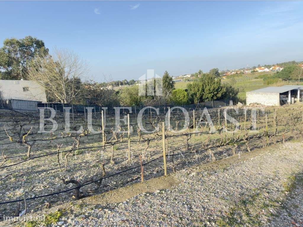 Fantástica Moradia V5 nos arredores de Setúbal - Qualidade de vida ...-49