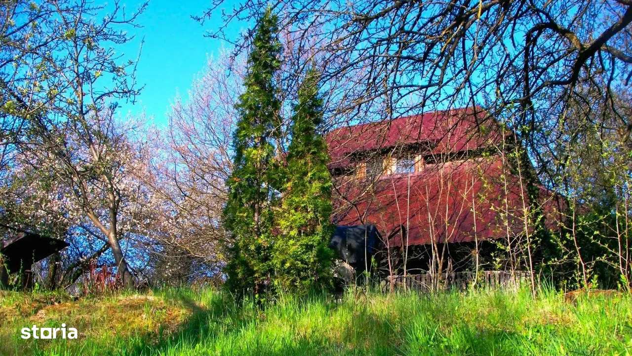 Domeniu exclusivist cu izvor propriu – Cheile Turzii / Munții Apuseni - Imagine principală: 2/11