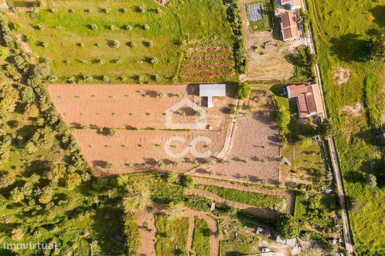 Quinta de 9250m2 c/ Moradia T4 térrea, anexo e armazém | Azaruja-54