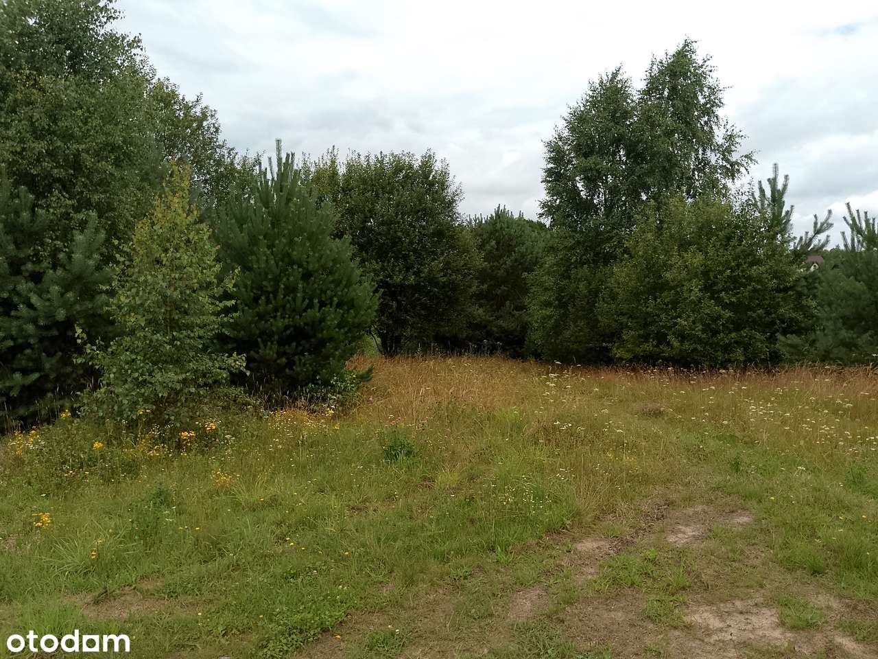 Działka, 1 500 m², Nowa Wieś Przywidzka-0