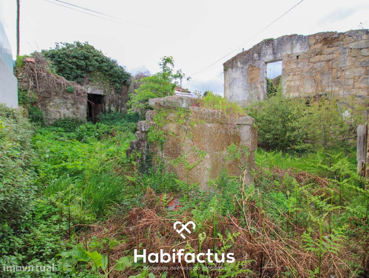 Moradia em ruinas para recuperar - Tondela - Grande imagem: 4/9