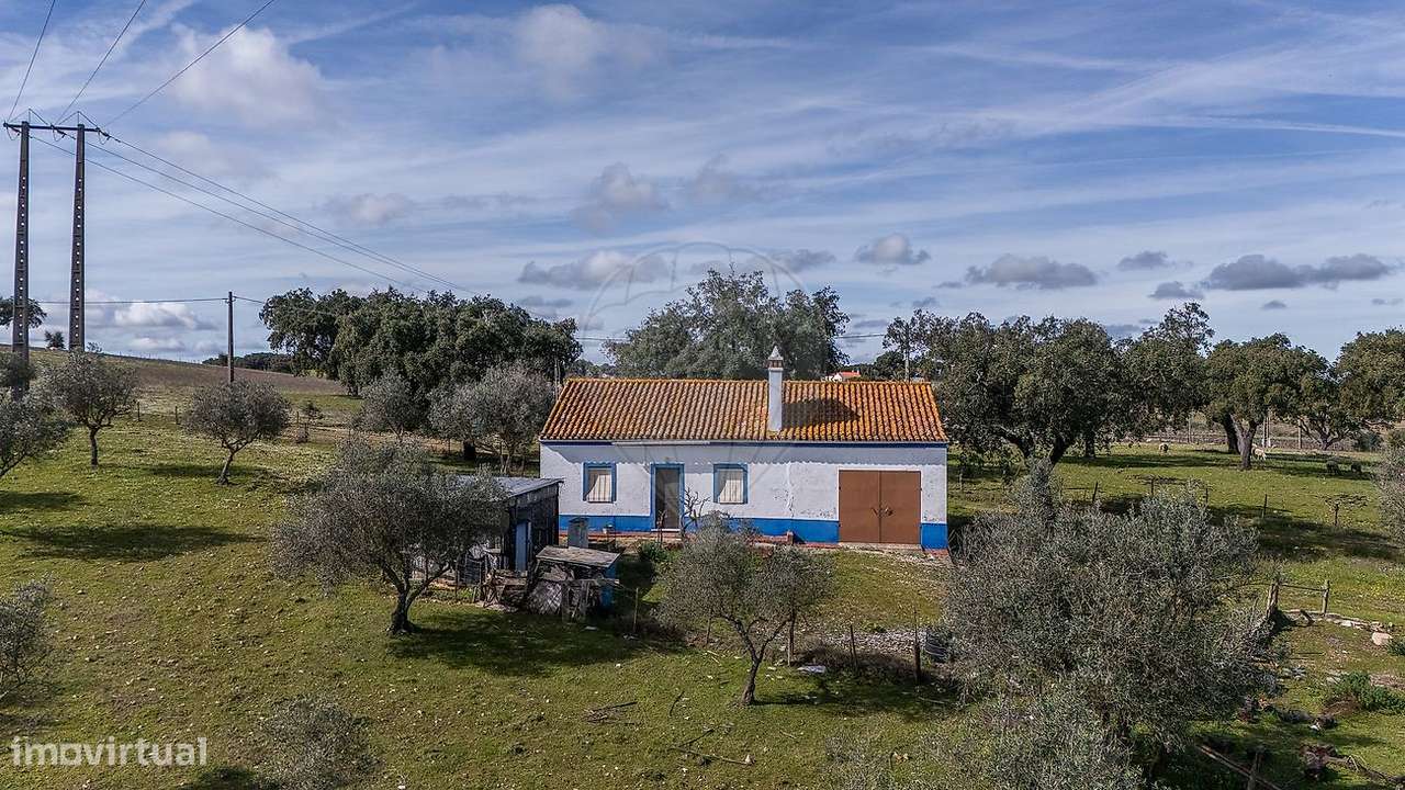 Quinta T3 para venda - Grande imagem: 5/24