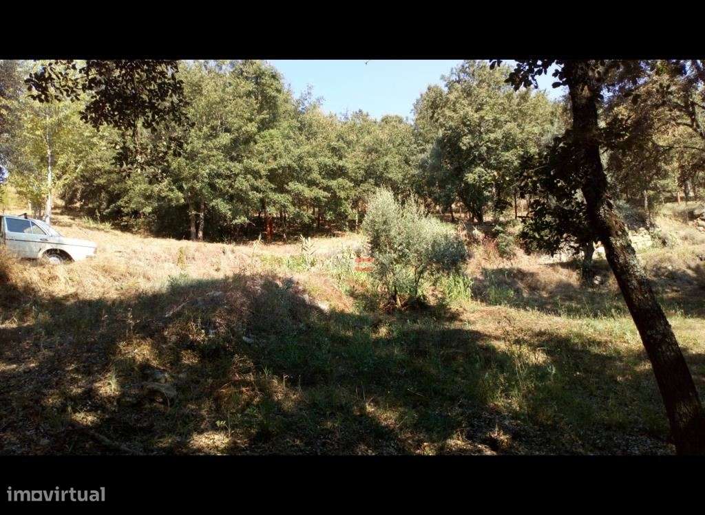 Terreno Rustico com 7400m2 - Grande imagem: 3/7