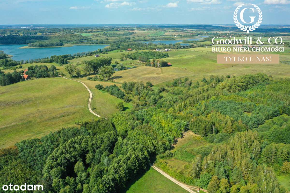 Piękna działka 700m od jeziora! - Pełny obrazek: 5/16