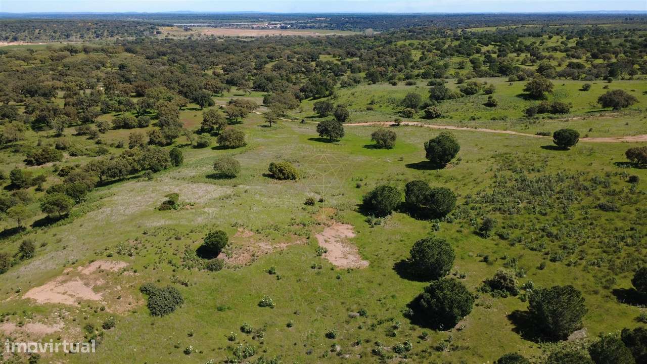Herdade  Venda em Figueira dos Cavaleiros,Ferreira do Alentejo-14