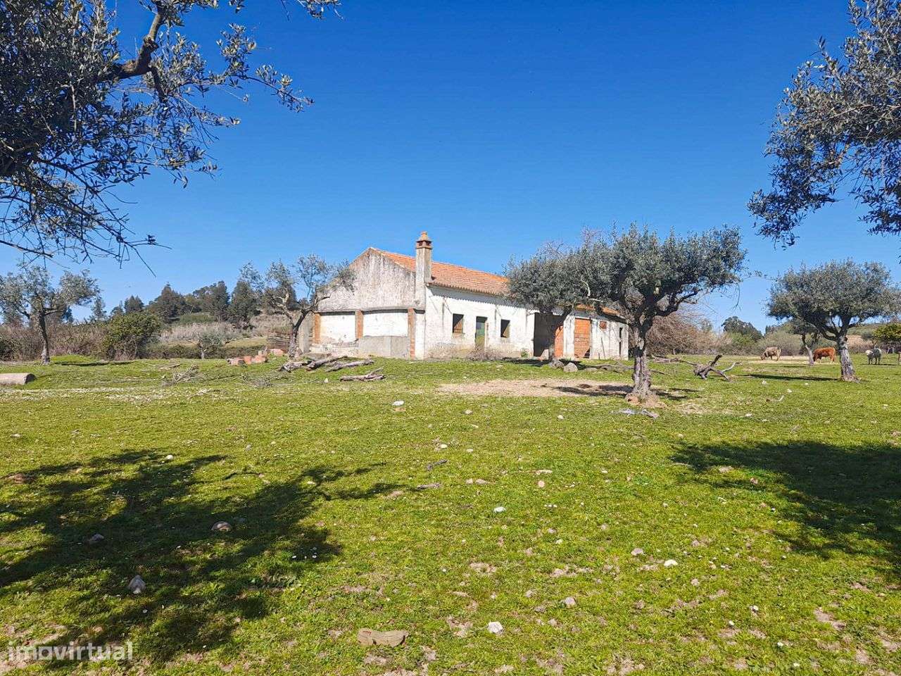 Quinta - Grande imagem: 5/10