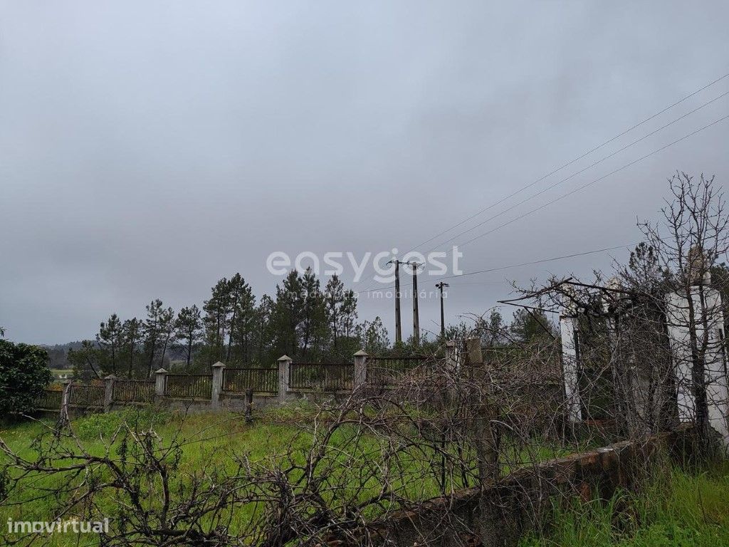 Casa Independente na aldeia de São Domingos próximo de Sarzedas - Grande imagem: 2/40