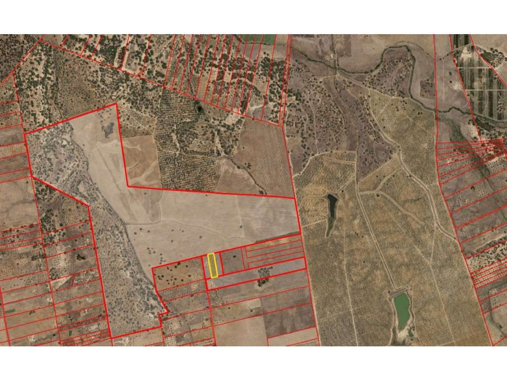 Terreno Rústico - Fortes- Ferreira do Alentejo - Grande imagem: 2/2