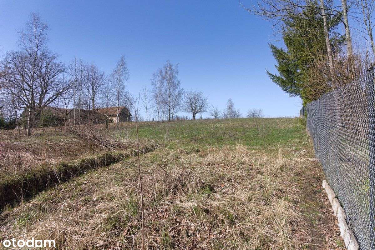 Działka z WZ na wzniesieniu nad jeziorem Lepaki Wielkie.-9