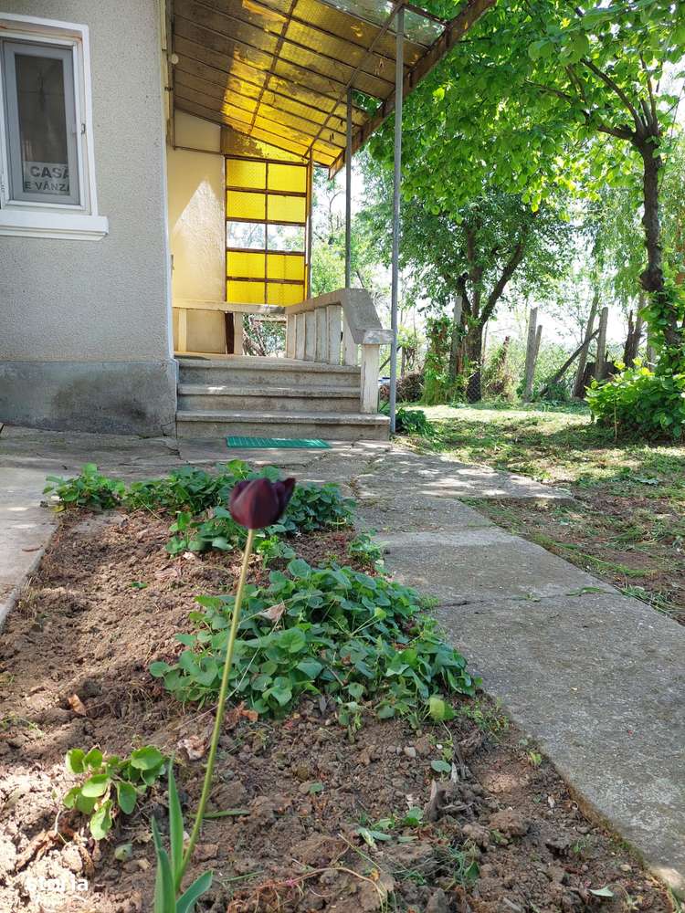 Casa in Dragasani , str Traian , Dragasani, Valcea - Imagine principală: 4/20