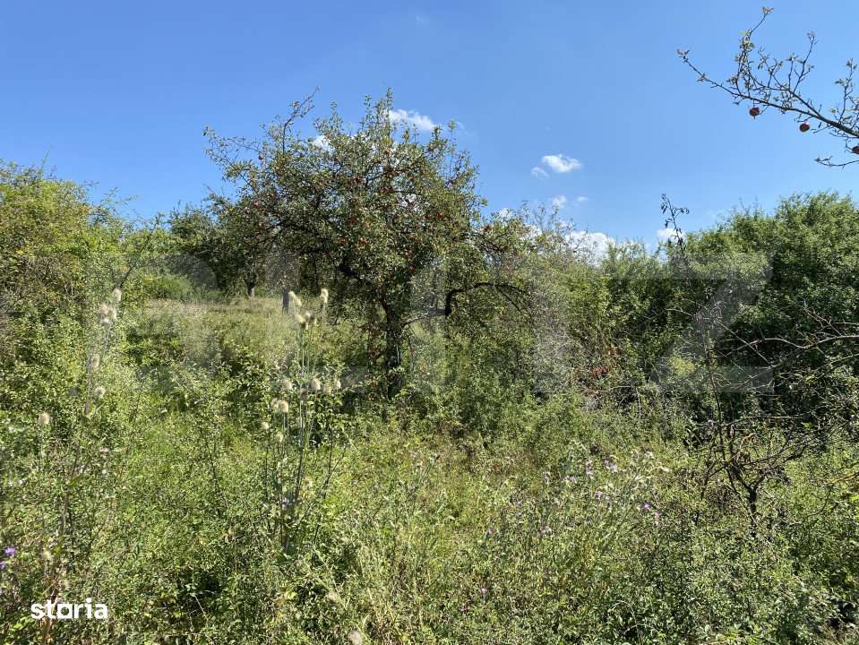 Teren extravilan in apropierea lacului Varsolt in suparfata de 3800 mp - Imagine principală: 2/7