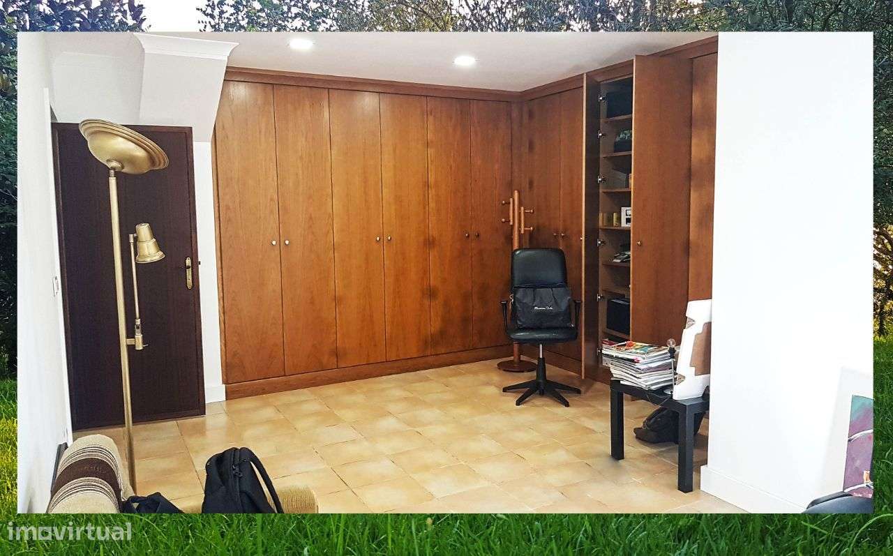 Quintinha com Mata secular-40