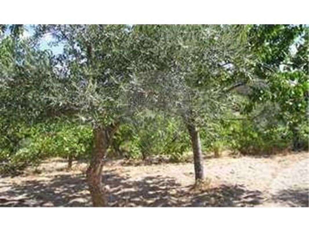 Quinta T0 para venda - Grande imagem: 5/18