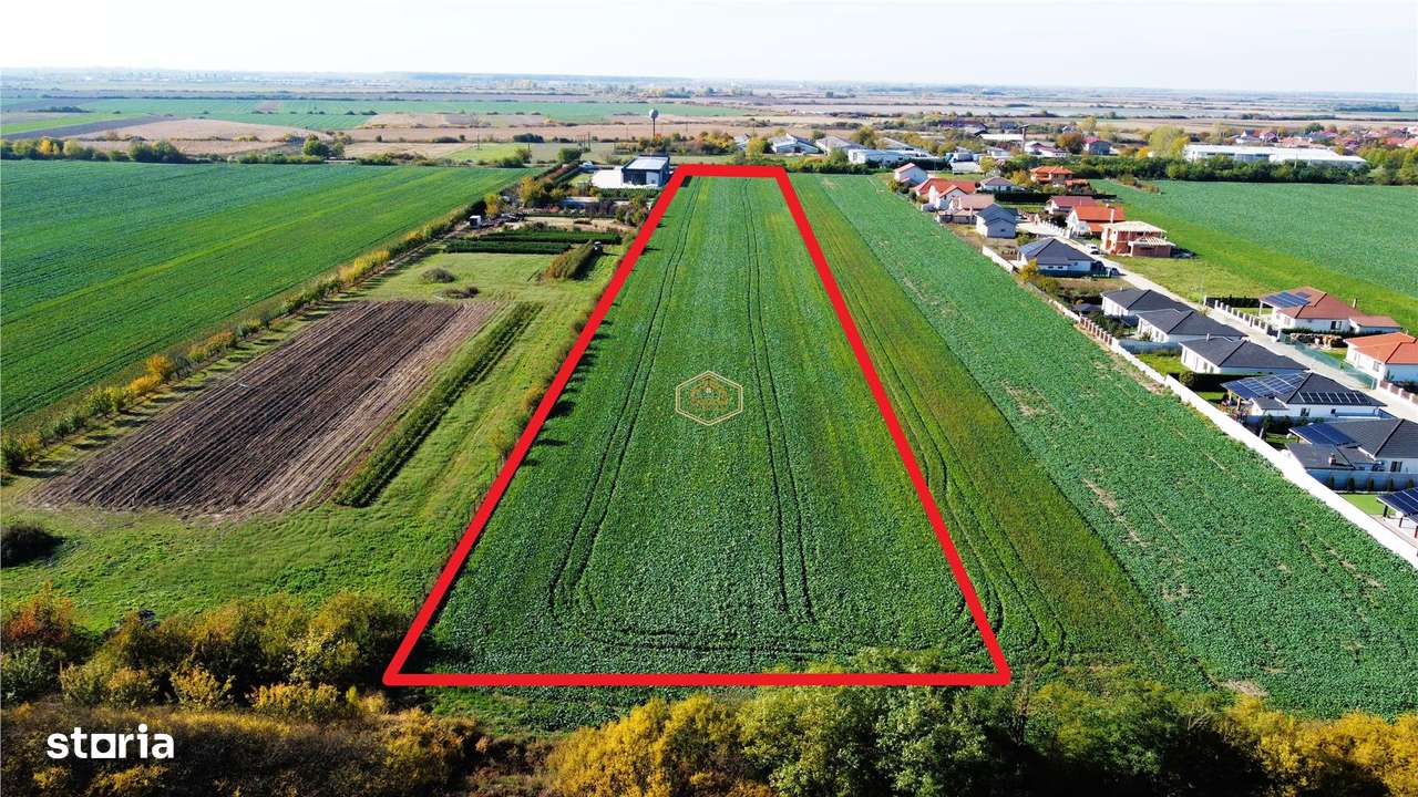 VIDEO | Servicii / Logistic | Teren 14.560 mp Lazuri | Drum Principal-3