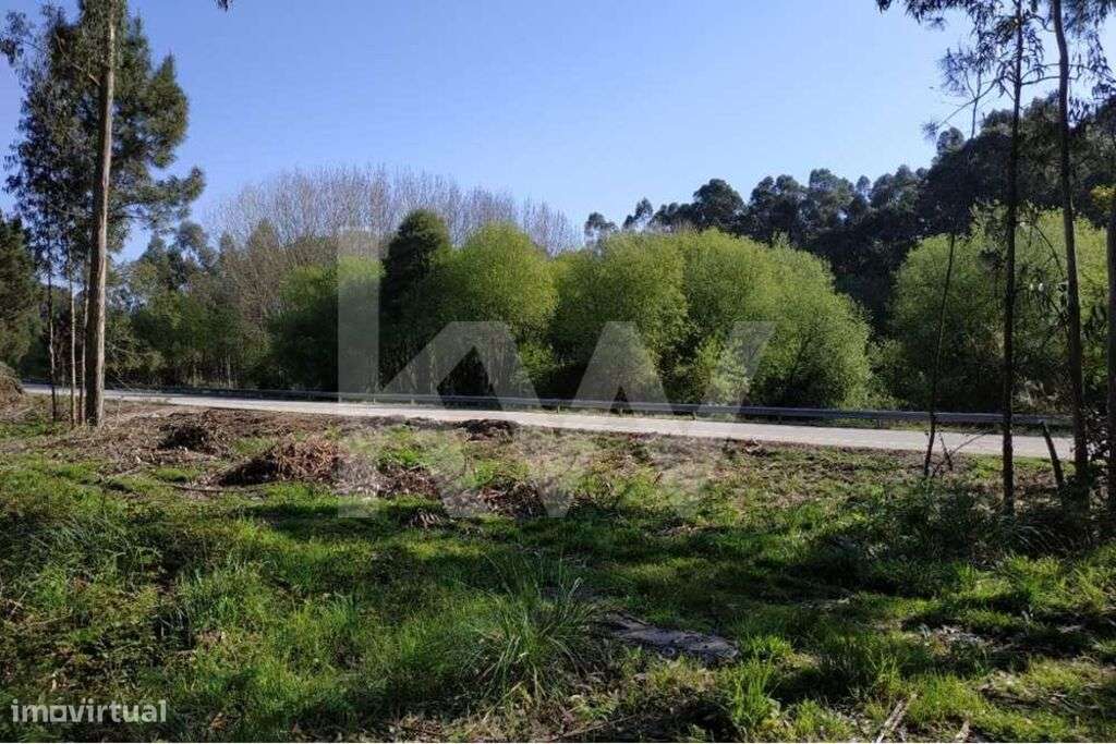 Terreno rústico com 700m2 na Avenida Jaime Isidoro (VL5) em Perosinho-12