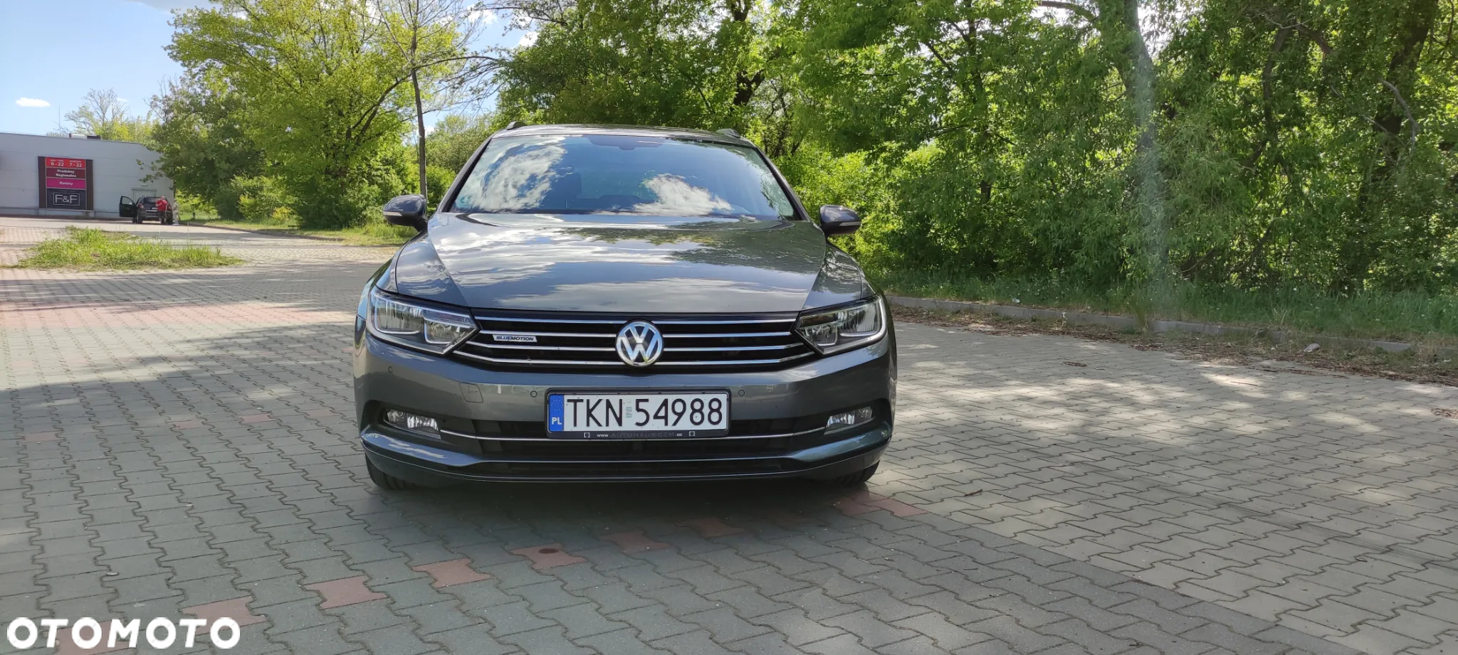 Volkswagen Passat - 5