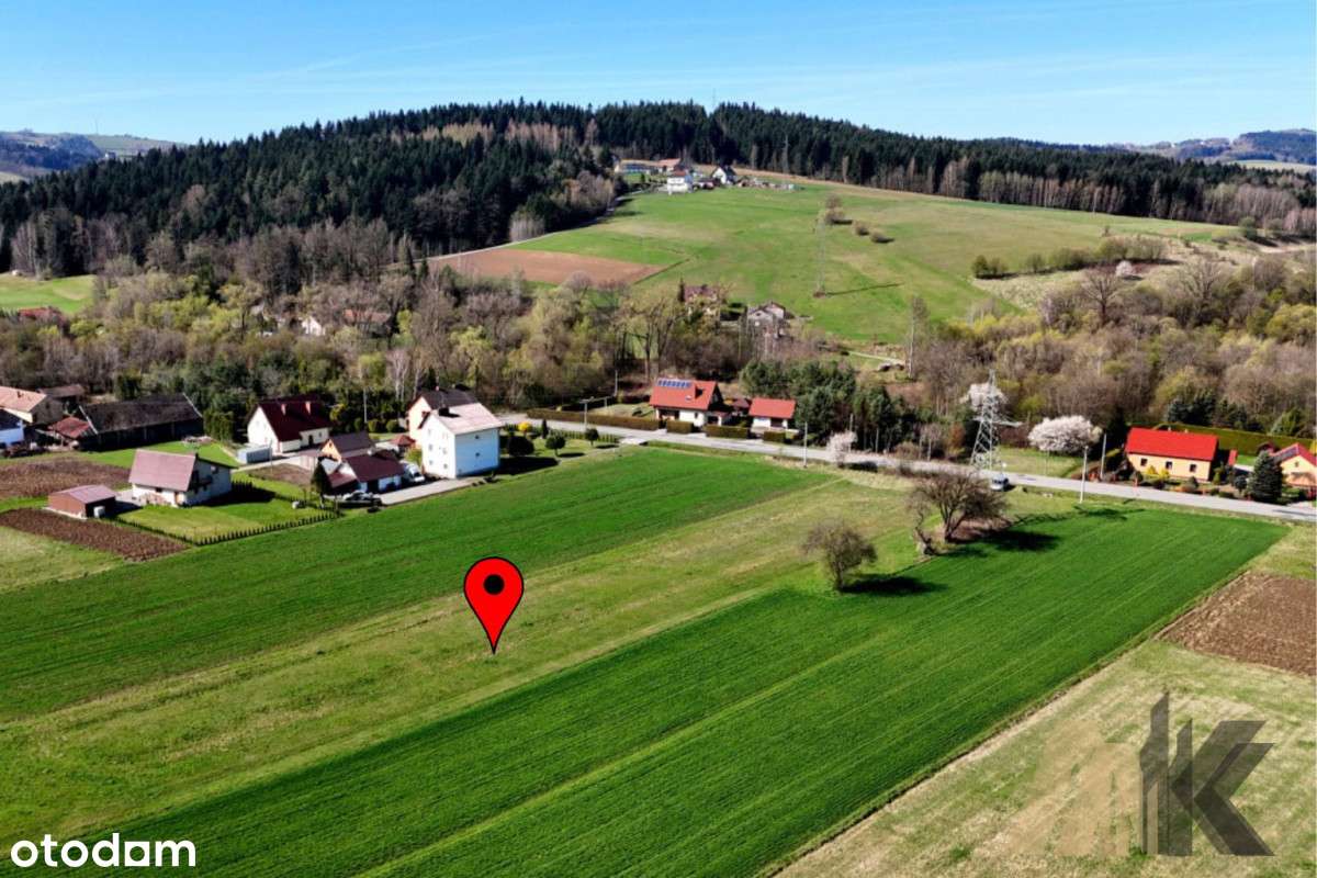 Dzialka 25 arow Wojnarowa - Pełny obrazek: 5/18