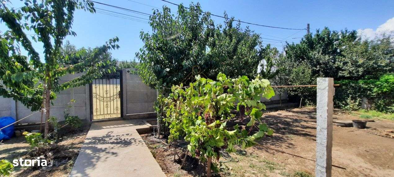 Cumpana | Spațiu și curte generoasă! | Casa familiei tale!-3