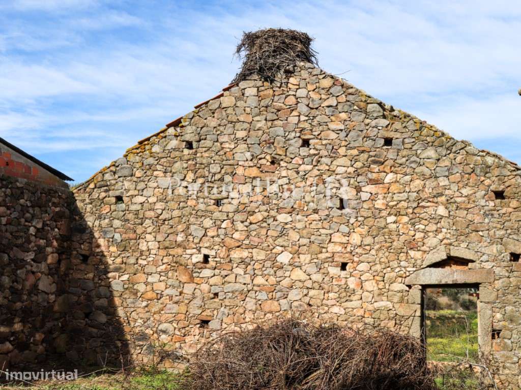 Quinta com casa de habitação T5 e diversas construções-14