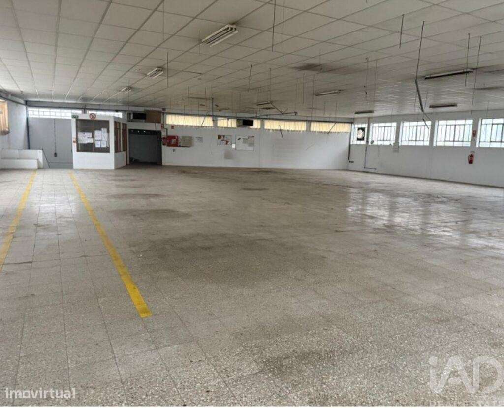 Hangar em Escapães de 3300,00 m2 - Grande imagem: 2/10
