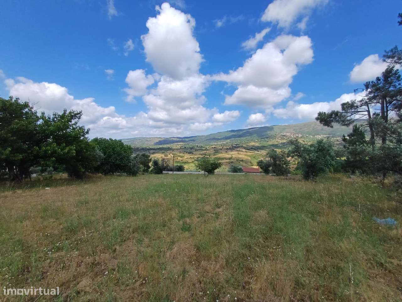 Terreno  Venda em Figueiró da Serra e Freixo da Serra,Gouveia - Grande imagem: 4/7