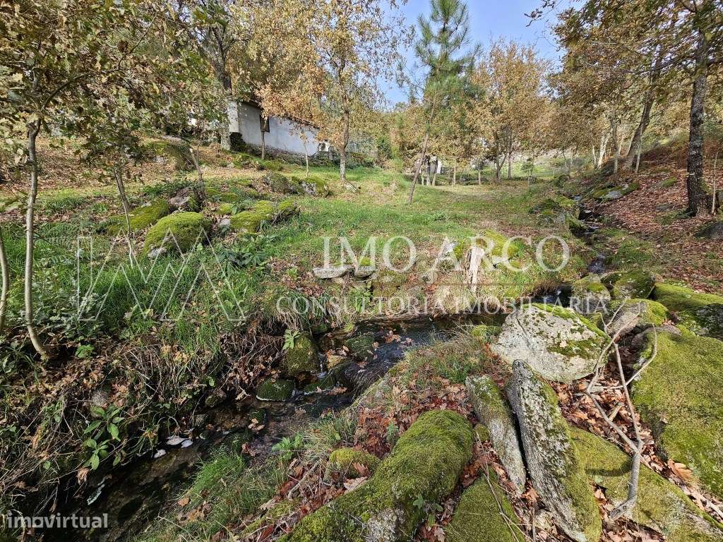 Terreno, Olival de Meanhos-15