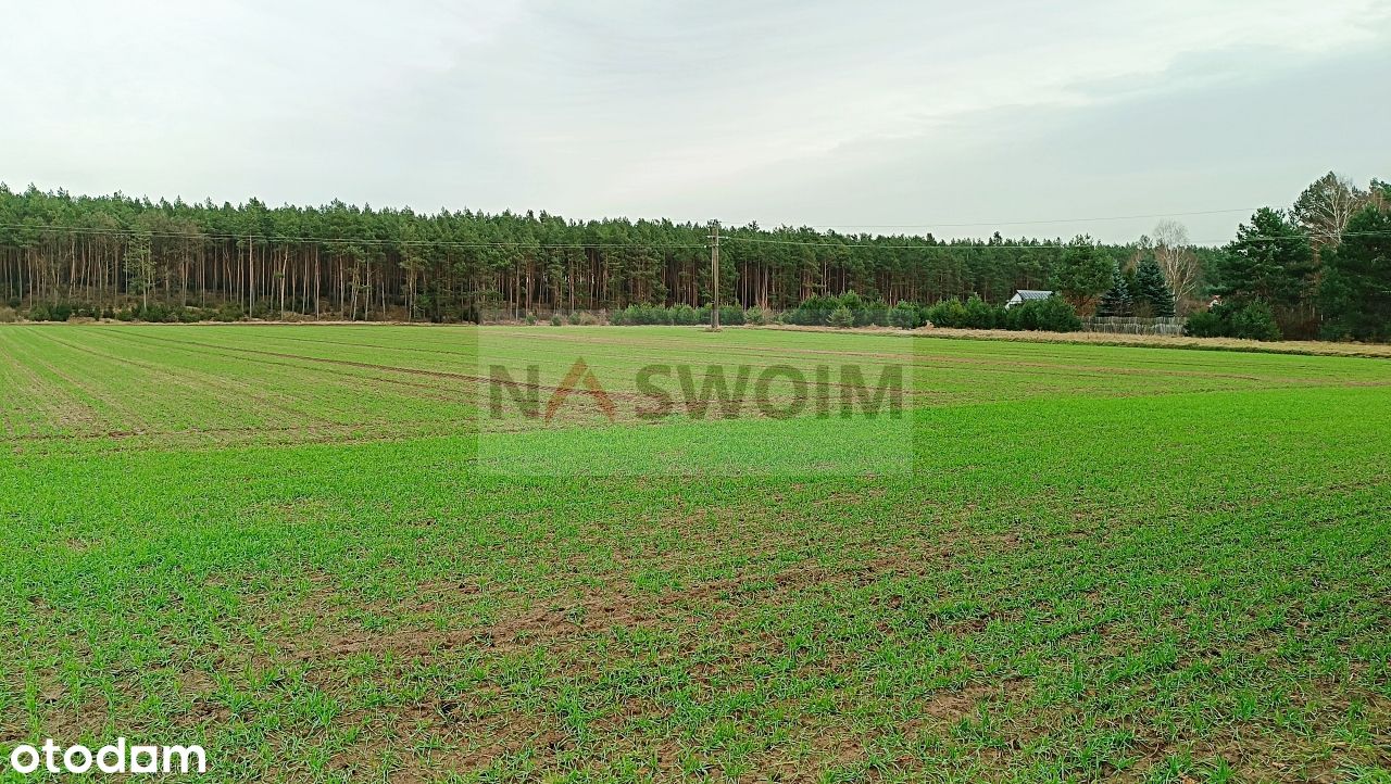 4 działki ok. 1000m2 w Silnie Gm. Obrowo - 0% prow