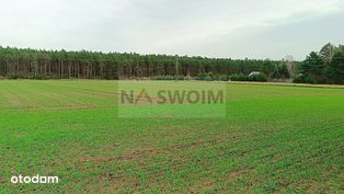 4 działki ok. 1000m2 w Silnie Gm. Obrowo - 0% prow