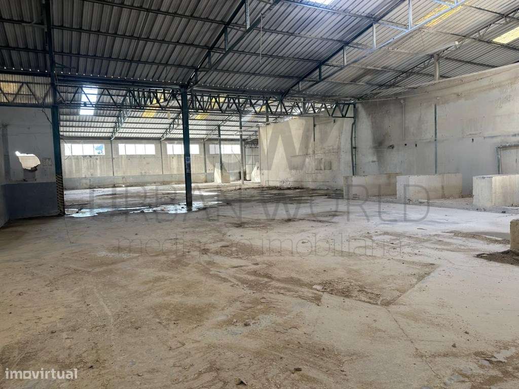 Armazém Industrial, Z. Industrial Torres Novas - Santarém, 12.056 m2-5