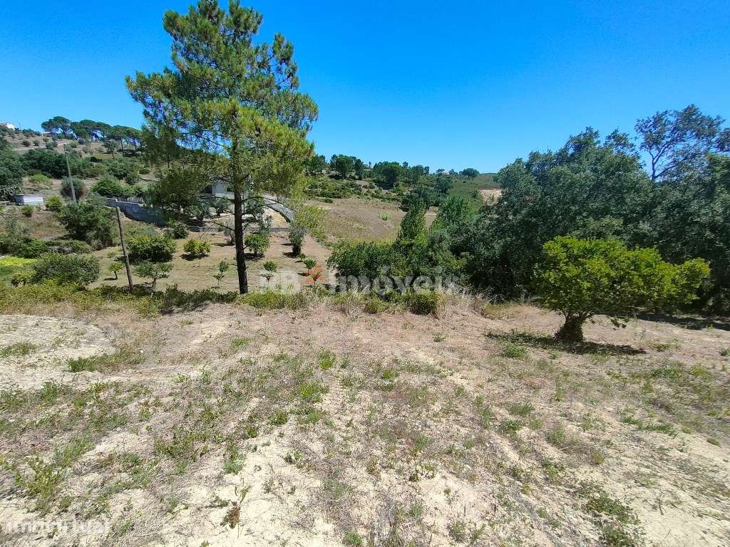 Terreno Rústico com 2.986,7m² - Carregueiros, Tomar - Grande imagem: 4/19