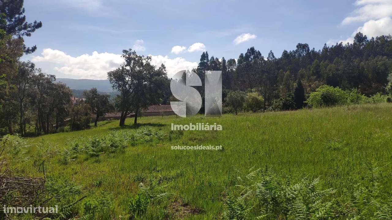 Terreno em Vila nova de poiares - Grande imagem: 4/8