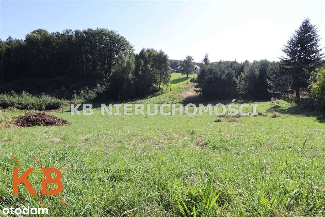 Słoneczna działka Rybnik - Pełny obrazek: 4/6