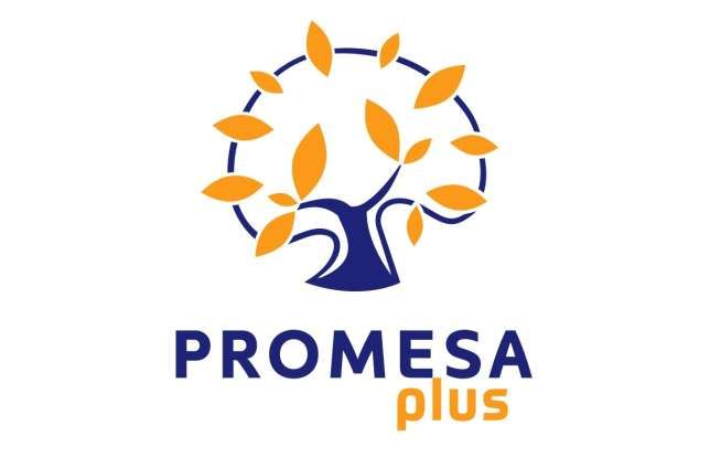 Promesa Service Sp. z o.o. logo