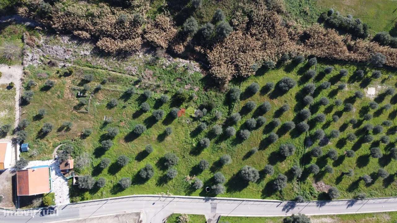 Quinta em Alcácer do Sal - Com Moradia T2 - Grande imagem: 5/51