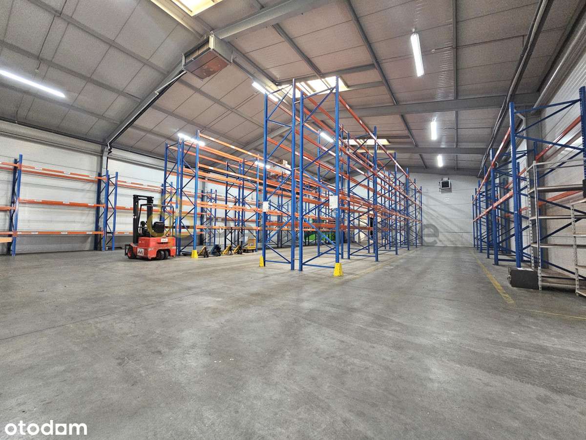 Hala magazynowa z chłodniami - Śrem - Pełny obrazek: 4/15