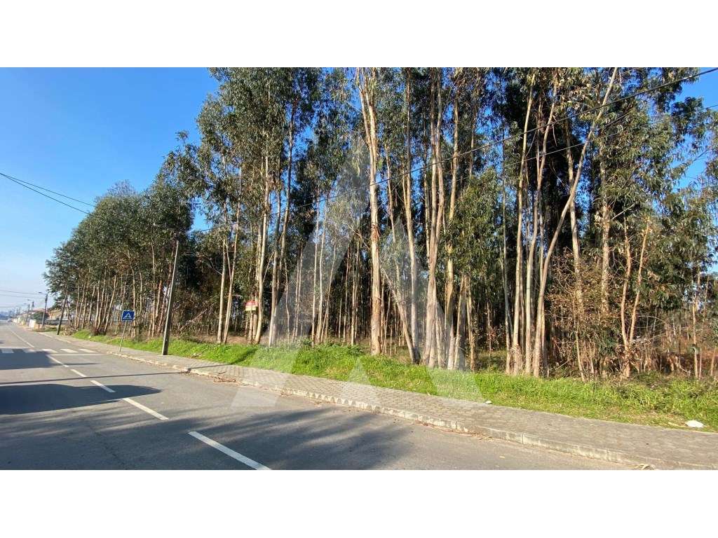 Terreno com viabilidade para construção de moradias - São João de O... - Grande imagem: 3/5