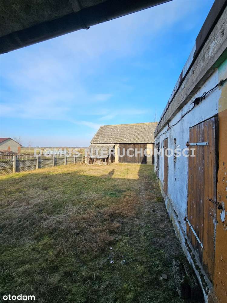 Działka z domkiem w cenie kawalerki :) - Pełny obrazek: 5/9