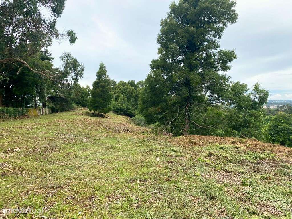 Terreno destinado a construção com 8.385m², situado no centro da vi... - Grande imagem: 4/12