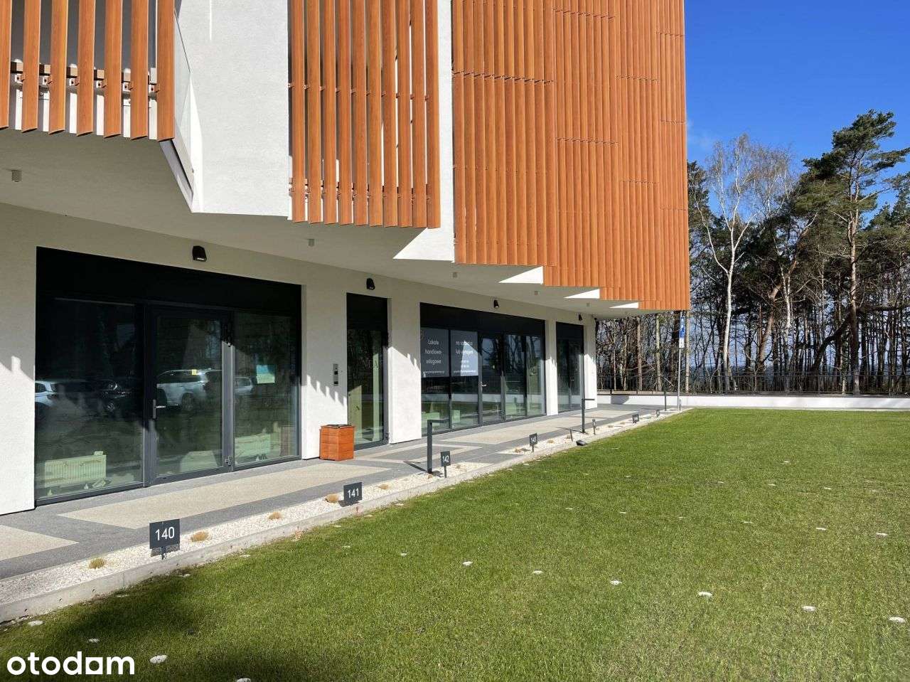 Pinea lokal pod gastronomię/ogródek/30 M do morza - Pełny obrazek: 4/14