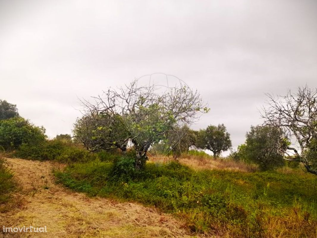 Terreno  para venda