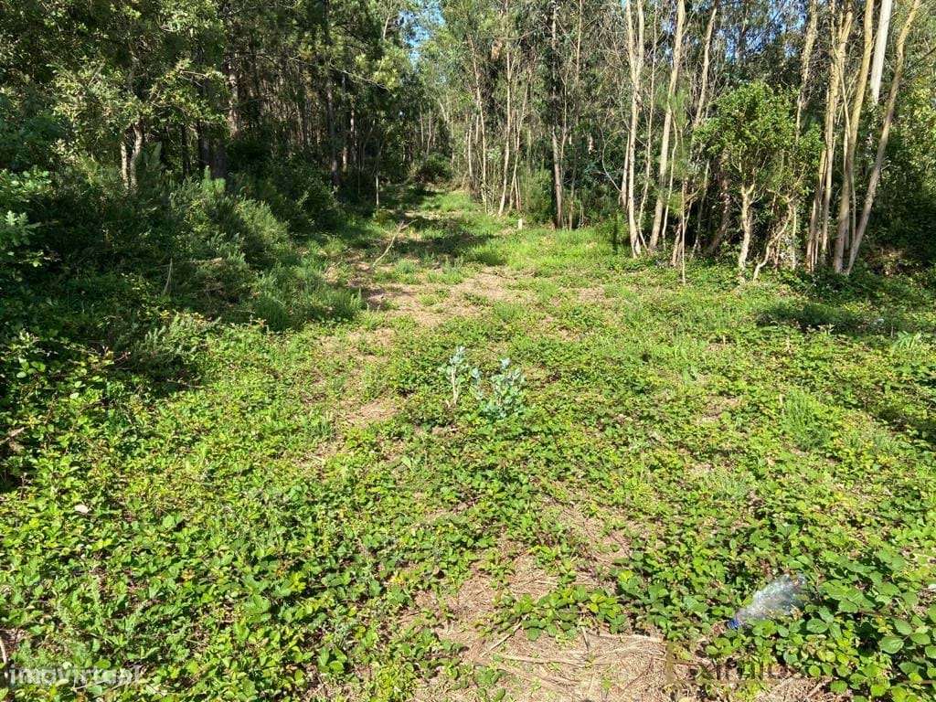 Venda de Terreno em Labruge, a 800 m da praia - Grande imagem: 5/7