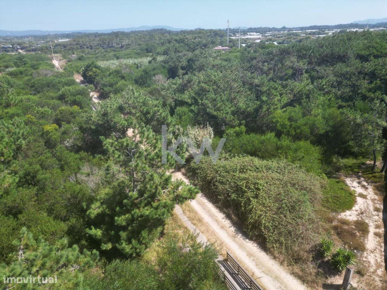 Bouça com pinhal perto da praia na Estela - Póvoa de Varzim - Grande imagem: 5/16