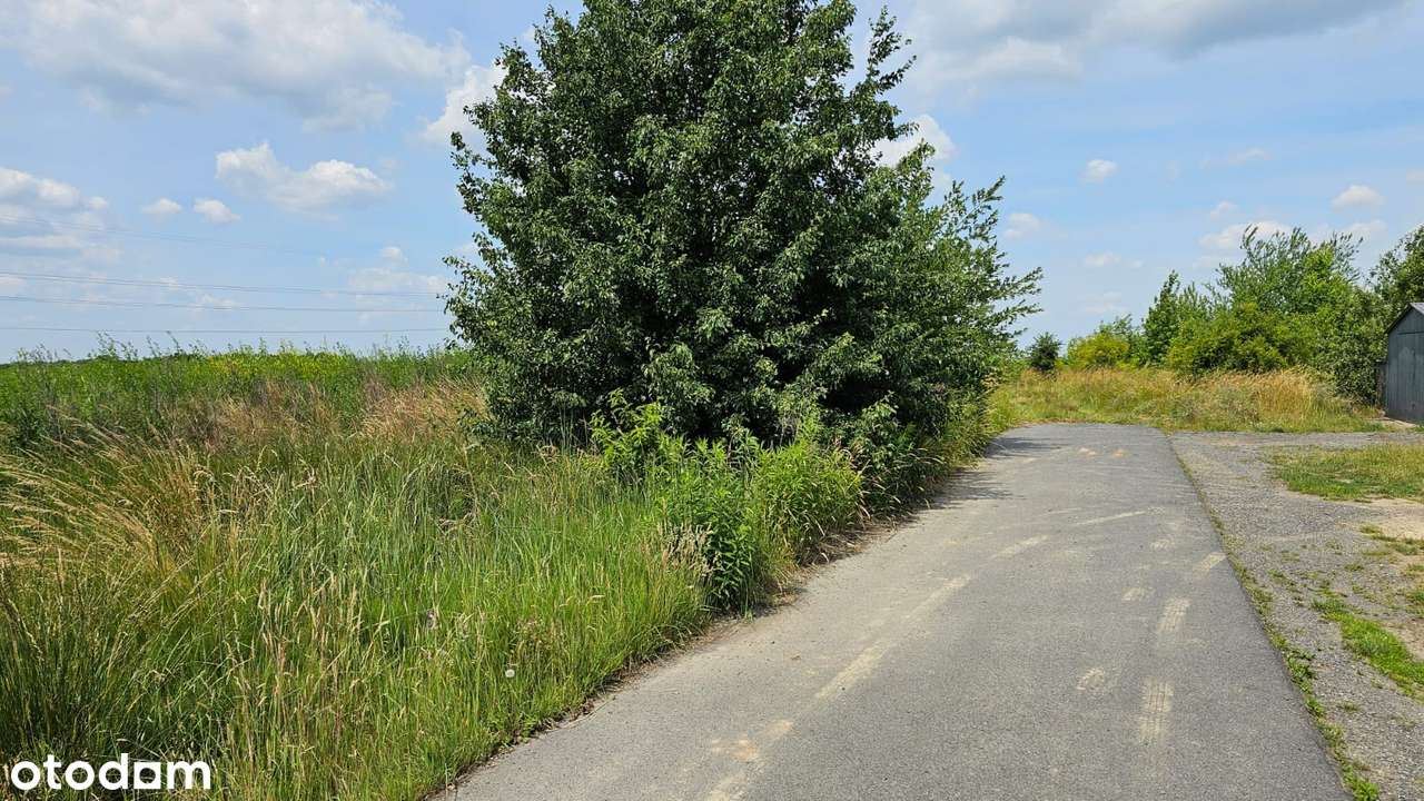 Kunowice-działka z pięknym widokiem - Pełny obrazek: 4/4