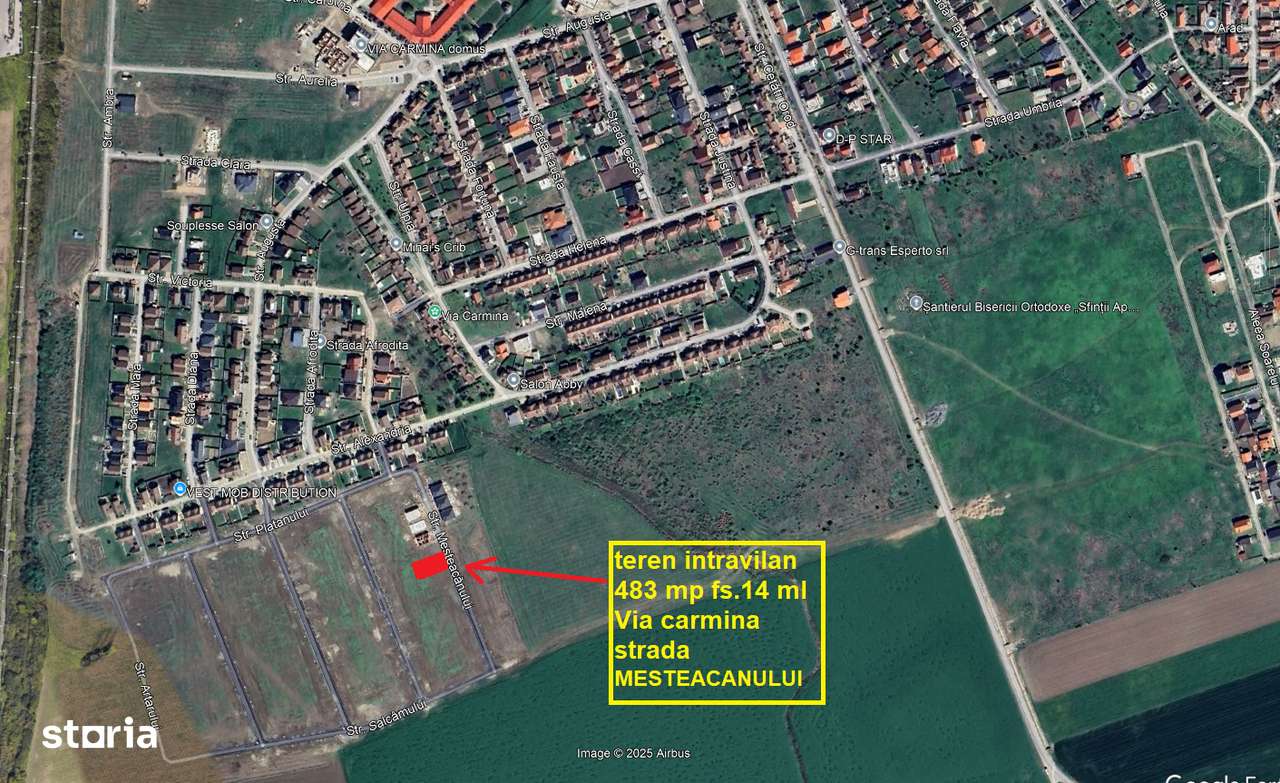 Teren intravilan 483 mp Vladimirescu Via Carmina str.Mesteacanului - Imagine principală: 2/4